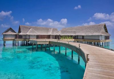 攜程上線近700條出境團隊游產品，熱點目的地分析與行業展望